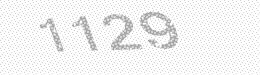 Visual security code — type the characters shown in the image