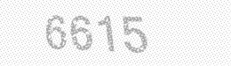 Visual security code — type the characters shown in the image